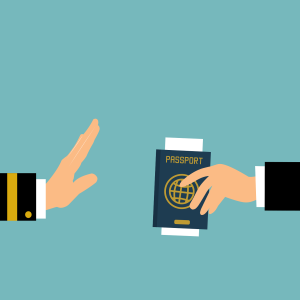 Visa Processing Earning